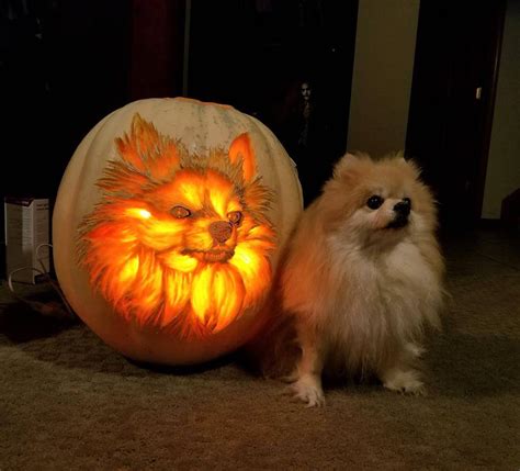 30 Interesting Pumpkin Carving Ideas For Halloween