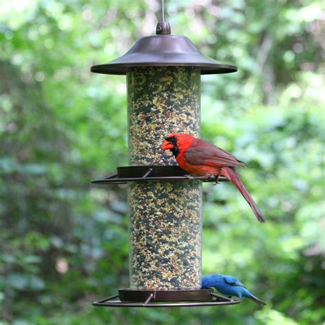 Amazon.com : Perky-Pet 325S Panorama Bird Feeder : Wild Bird Feeders