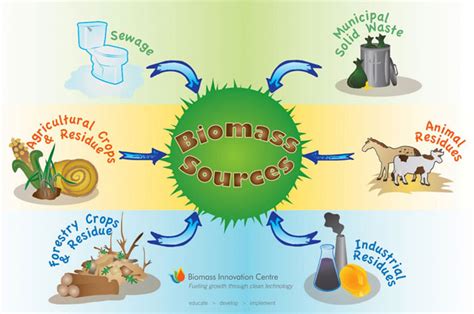 Pros And Cons Of Biomass Energy Green Organic Useful Resources And Info