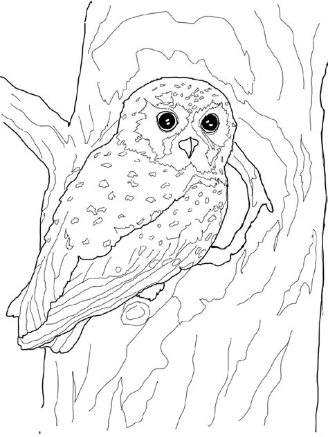 Affordable and search from millions of royalty free images, photos and vectors. Printable Owl Coloring Pages Hard and Easy | 101 Coloring