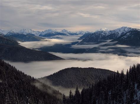 Free Photo Aerial Photography Of Foggy Mountains Cloudy Cold Fog