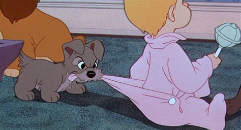 Scamp The Lady And The Tramp Wiki