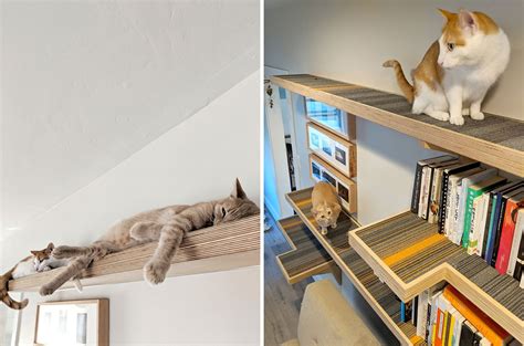 cat library custom cat climbing shelves great catification inspiration cat climbing shelves