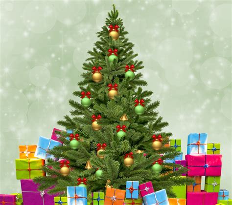 Christmas Tree With Ts Free Stock Photo Public Domain Pictures