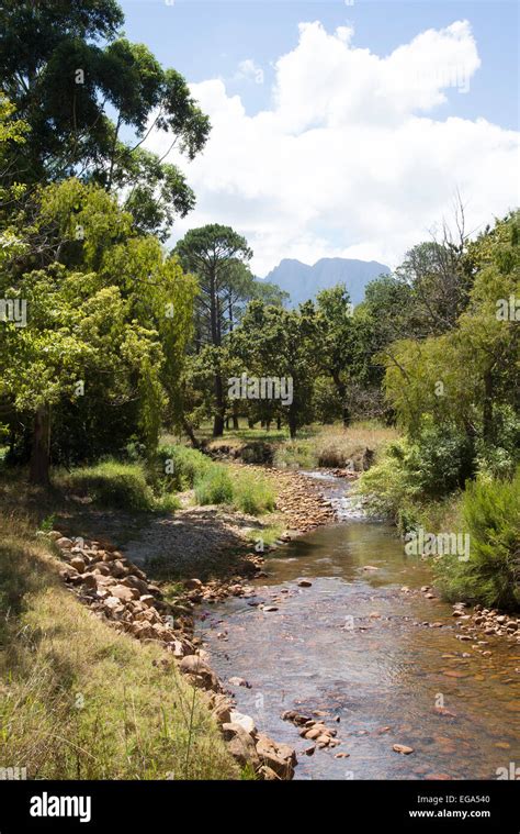 Lourens River At Somerset West In The Western Cape South Africa Stock