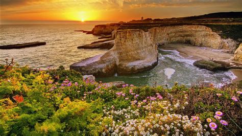 White Light Purple Flowers Green Plants Bushes Landscape View Of Ocean