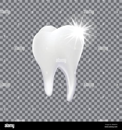 Realistic 3d Tooth Isolated On Transparent Background Stock Vector