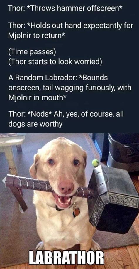 Easily add text to images or memes. Of Course Meme Thor