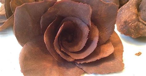 Chocolate Rose Imgur