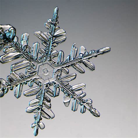 A Primer For Photographing Snowflakes Biocommunications Association