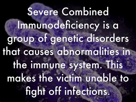 Severe Combined Immunodeficiency By Ryan Lavin