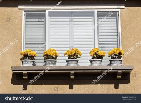 Five Flower Pots Outside On A Window Ledge Stock Photo 102793538