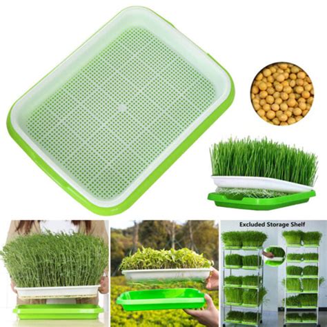 Seed Sprouter Stackable Sprouting Trays Germination Kitchen Crop