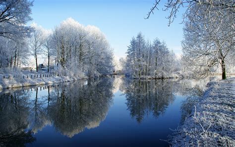 Frozen Trees Reflected In Water Winter Snow Theme Wallpaper 1680x1050