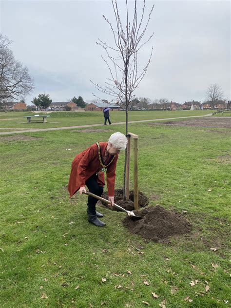 town mayor plants tree to commemorate her majesty s platinum jubilee woodley town council