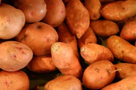 Autumn Sweet Potatoes