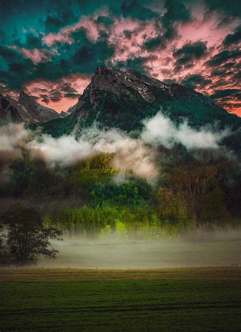 2k Free Download Mountain Fog Clouds Forest Trees Grass Hd