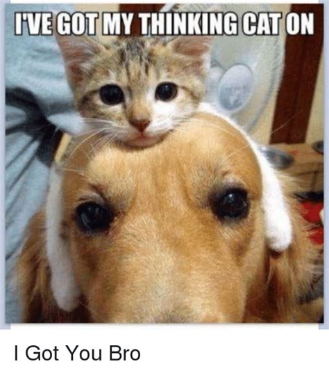 See more of i got memes on facebook. IVE GOT MY THINKING CAT ON I Got You Bro | Meme on SIZZLE