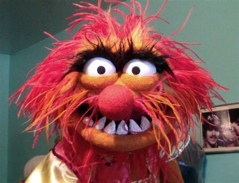 Das Tier Muppets Bilder Crazy Animal Muppets Halloween Face Makeup