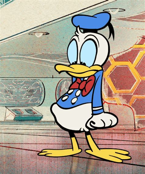 18 Unique Funny Donald Duck Images Funny Animals Picture