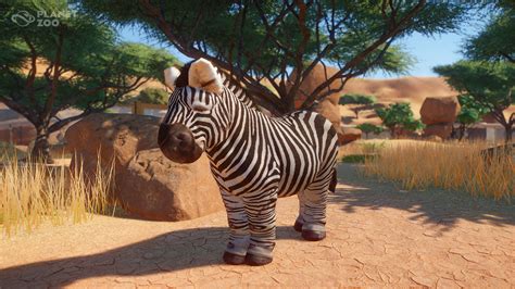 Planet Zoo Easter Cheats Give Everyone Balloons And Make Animals Super