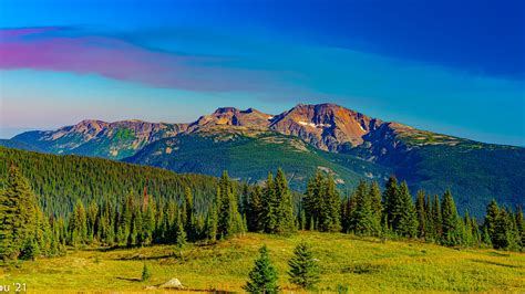 Download Wallpaper 1920x1080 Mountains Forest Trees Grass Landscape