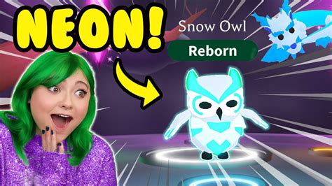 Making A Legendary Neon Snow Owl And Neon Frost Fury Dream Pet In Adopt