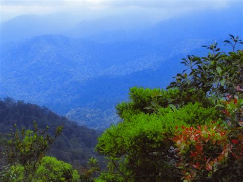 Tak heran jika banyak masyarakat yang senang mendaki gunung. marina4g91: | Gunung -gunung Di Malaysia Dan Ketinggiannya