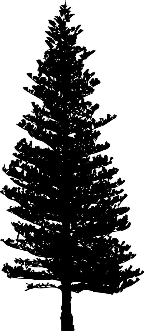 To created add 23 pieces, transparent christmas tree images of your project files with the background cleaned. 10 Pine Tree Silhouette (PNG Transparent) | OnlyGFX.com