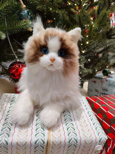 100 Handmade Realistic Stuffed Ragdoll Plush Cat Toycat Etsy Uk