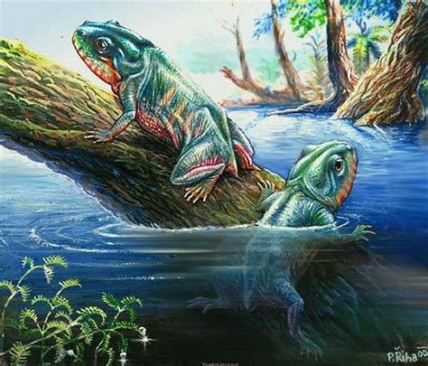 Pictures And Profiles Of Prehistoric Amphibians