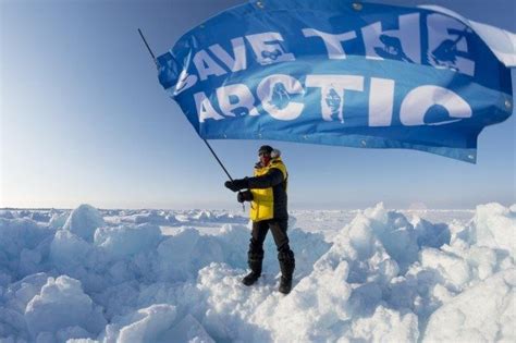 Saving The Arctic Greenpeace Usa