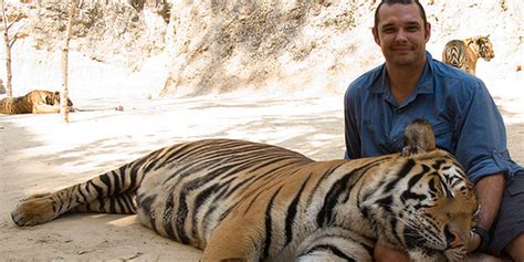 Colbert Has A Hilarious Solution For The Tiger Selfie Ban The Daily Dot