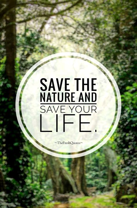 Nature Will Safer Without Human Being Do You Agree Researchgate