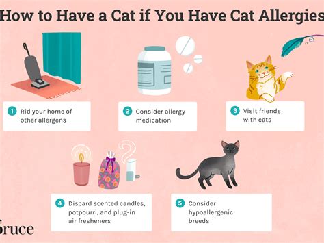 How To Live With Pet Allergies Numberimprovement23