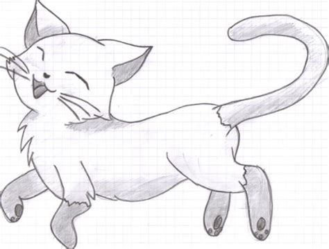 Anime Cat Sketch At Explore Collection Of Anime Cat Sketch