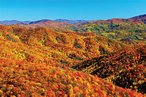 6 Places To Fall For Foliage In Tennessee Page 4 Of 6 Tennessee