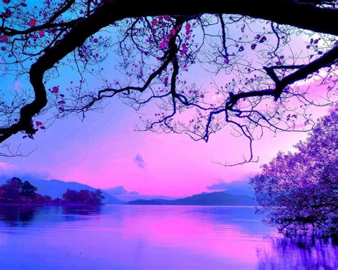 Purple Sunset Background Beach 36 Purple Sunset Desktop Wallpaper On