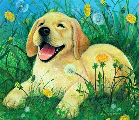 Pin By Nurit Alon On Art️️️ Cute Dog Drawing Cute Dog Pictures