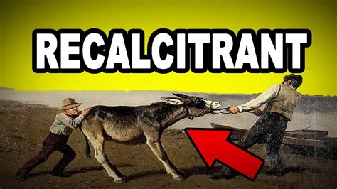 The most voted sentence example for recalcitrant is matter was a potentially recal. Learn English Words: RECALCITRANT - Meaning, Vocabulary ...