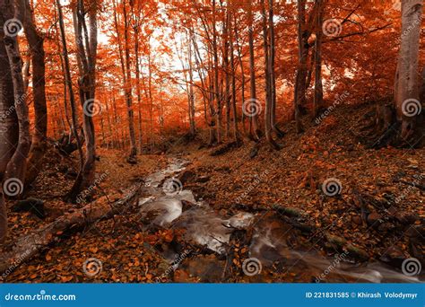 Scenic Autumn Landscape Stunning Autumn Dawn Landscape Stock Image