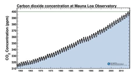 Carbon Dioxide In Atmosphere At Record Level