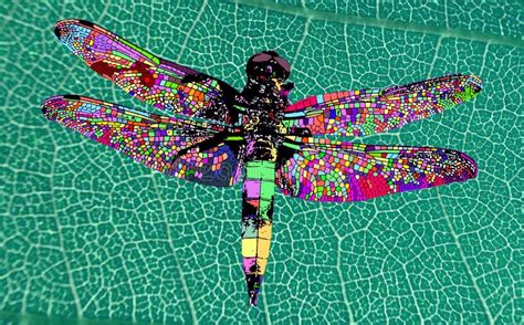 Dragonfly Abstract Modern Art Stock Photo Image Of Vector Winter