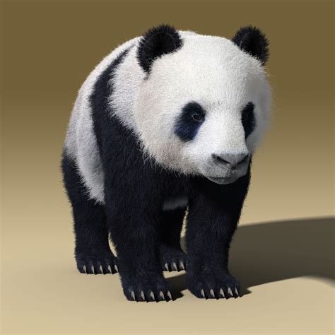 3ds Max Panda Bear Fur Rigged