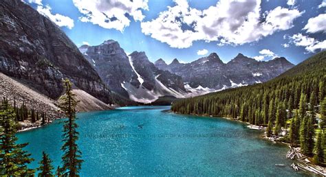 Maybe you would like to learn more about one of these? Fish also fuck in it 1980x1080 : Offensive_Wallpapers