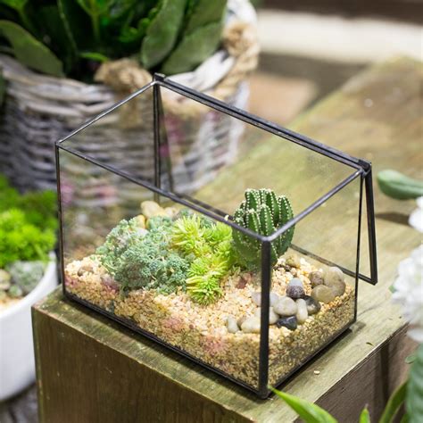 They stop your houseplants drying out, but can also prevent overwatering too. NCYP Rectangle Clear Glass Geometric Terrarium Box Indoor ...