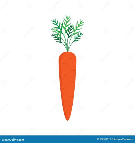 Carrot Vector Graphic Illustration Stock Vector Illustration Of
