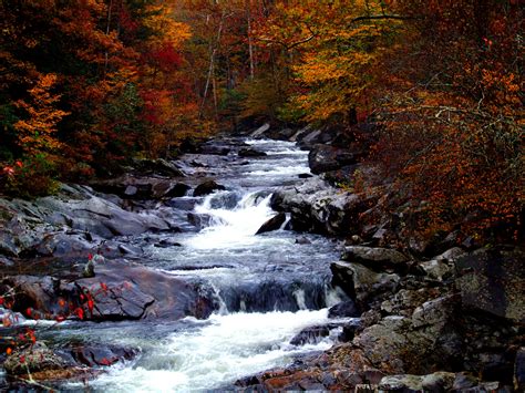 Free Images Landscape Nature Forest Waterfall Creek Wilderness