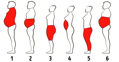 6 tipos de gordura corporal e como se livrar deles incrível