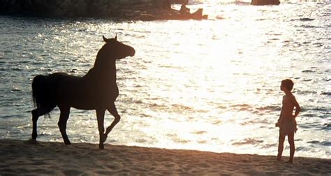 The black stallion returns is a 1983 american adventure film and the sequel to the black stallion. Radiator Heaven: The Black Stallion